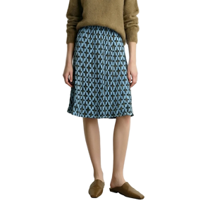 A model wearing a blue and gray geometric patterned midi skirt with a brown knit sweater and brown mule loafers, standing against a light gray wall. The brand name AMII is visible in the top left corner.
